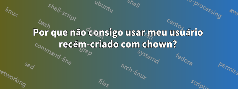 Por que não consigo usar meu usuário recém-criado com chown?