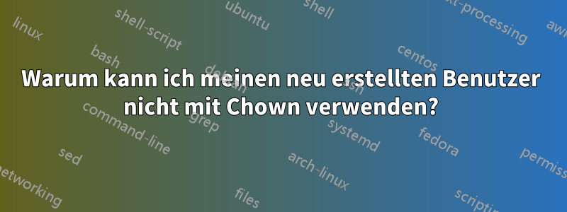 Warum kann ich meinen neu erstellten Benutzer nicht mit Chown verwenden?