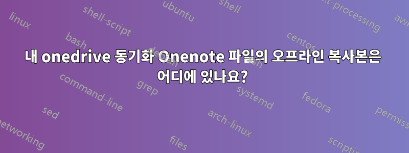 내 onedrive 동기화 Onenote 파일의 오프라인 복사본은 어디에 있나요?