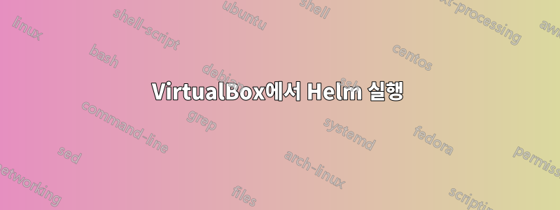 VirtualBox에서 Helm 실행