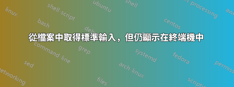 從檔案中取得標準輸入,但仍顯示在終端機中