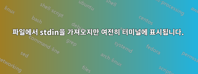 파일에서 stdin을 가져오지만 여전히 터미널에 표시됩니다.