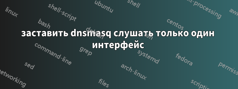 заставить dnsmasq слушать только один интерфейс