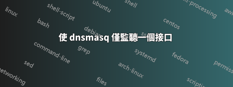使 dnsmasq 僅監聽一個接口