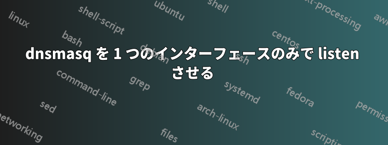 dnsmasq を 1 つのインターフェースのみで listen させる