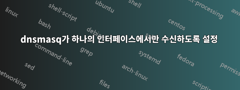 dnsmasq가 하나의 인터페이스에서만 수신하도록 설정