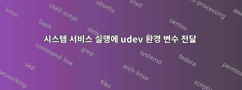 시스템 서비스 실행에 udev 환경 변수 전달
