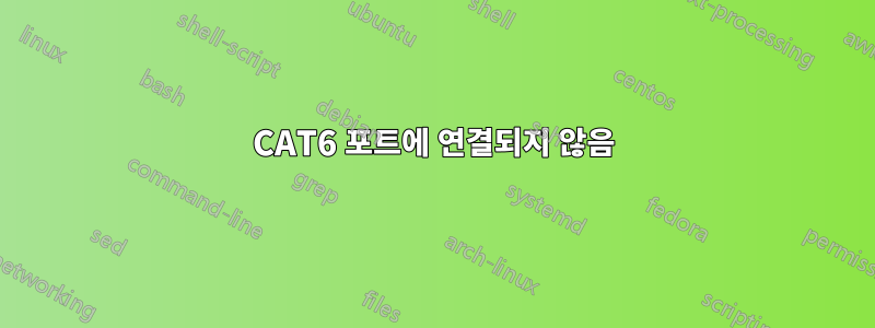 CAT6 포트에 연결되지 않음