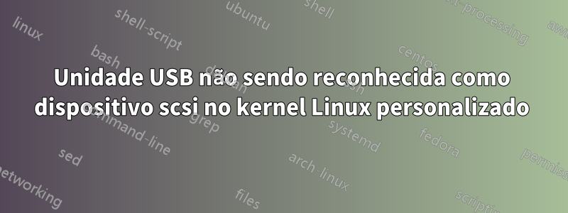 Unidade USB não sendo reconhecida como dispositivo scsi no kernel Linux personalizado