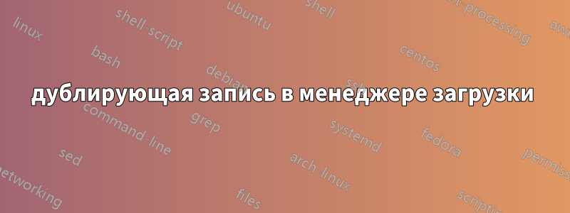 дублирующая запись в менеджере загрузки