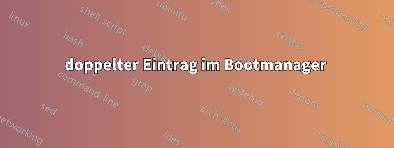 doppelter Eintrag im Bootmanager