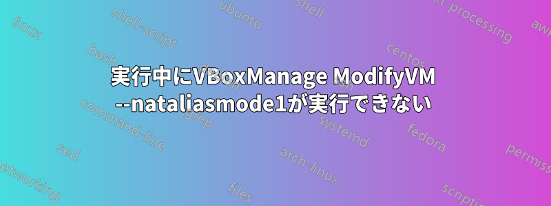 実行中にVBoxManage ModifyVM --nataliasmode1が実行できない