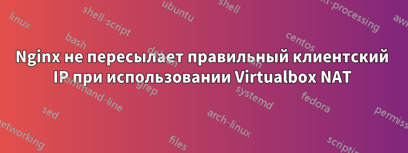 Nginx не пересылает правильный клиентский IP при использовании Virtualbox NAT