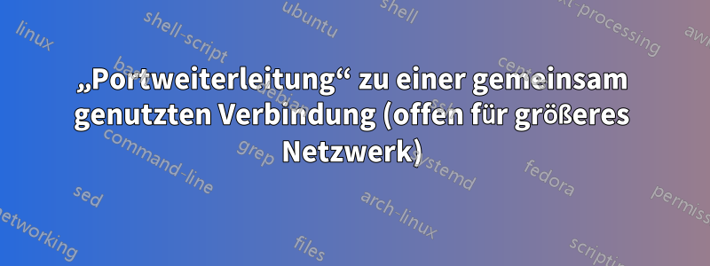 „Portweiterleitung“ zu einer gemeinsam genutzten Verbindung (offen für größeres Netzwerk)