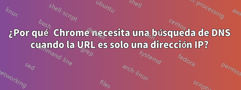 ¿Por qué Chrome necesita una búsqueda de DNS cuando la URL es solo una dirección IP?