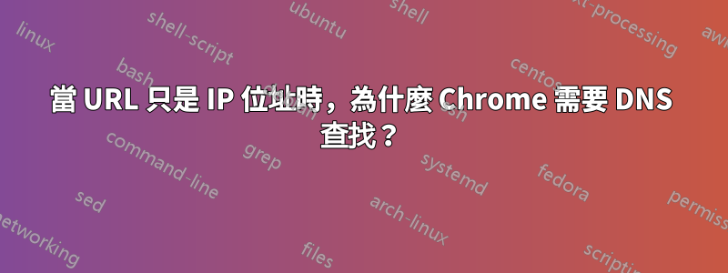 當 URL 只是 IP 位址時，為什麼 Chrome 需要 DNS 查找？