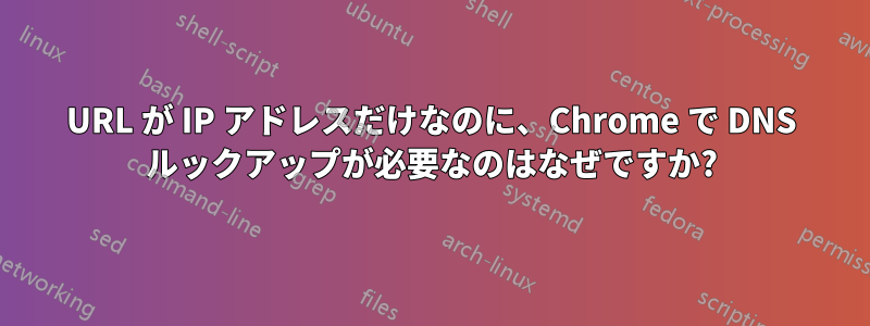 URL が IP アドレスだけなのに、Chrome で DNS ルックアップが必要なのはなぜですか?