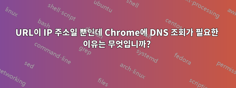 URL이 IP 주소일 뿐인데 Chrome에 DNS 조회가 필요한 이유는 무엇입니까?