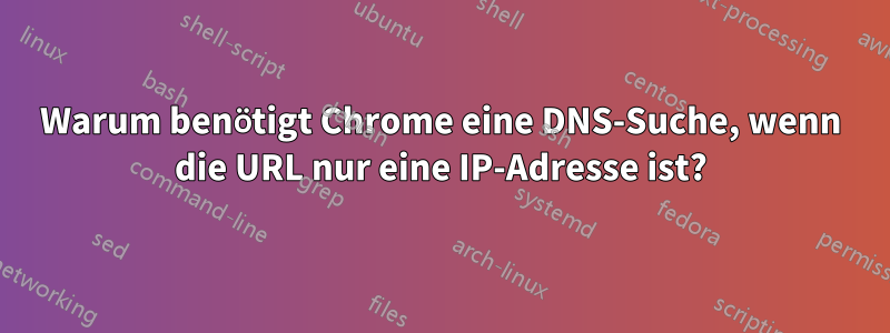 Warum benötigt Chrome eine DNS-Suche, wenn die URL nur eine IP-Adresse ist?