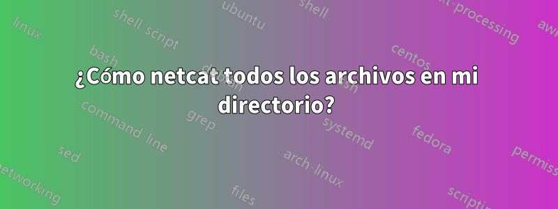 ¿Cómo netcat todos los archivos en mi directorio?