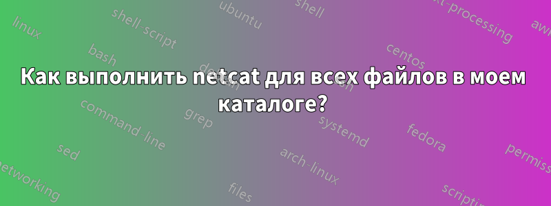 Как выполнить netcat для всех файлов в моем каталоге?