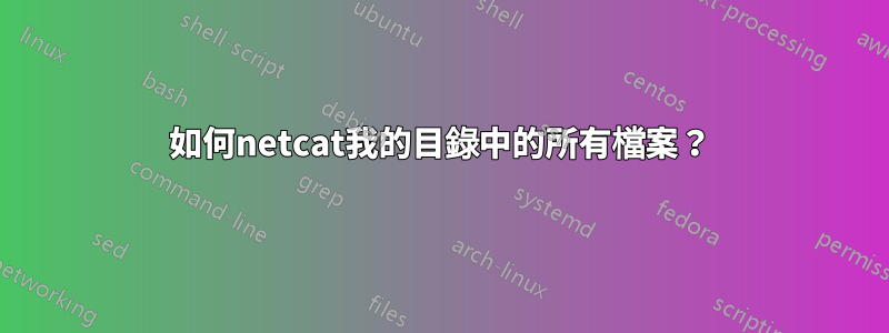 如何netcat我的目錄中的所有檔案？