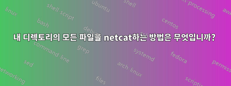 내 디렉토리의 모든 파일을 netcat하는 방법은 무엇입니까?