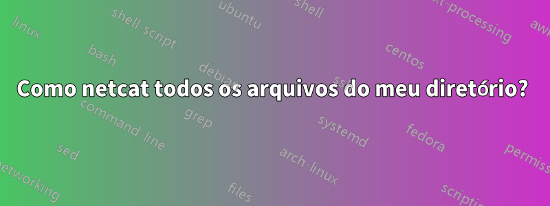 Como netcat todos os arquivos do meu diretório?