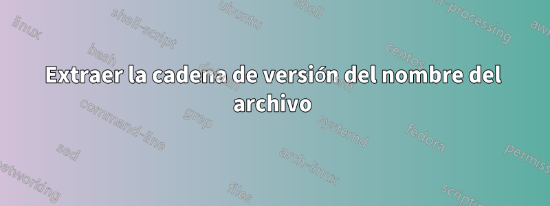 Extraer la cadena de versión del nombre del archivo