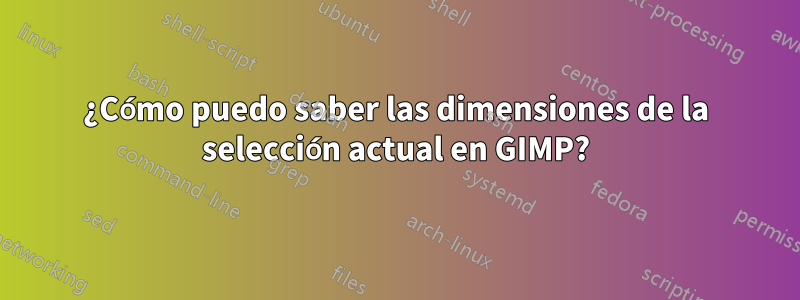 ¿Cómo puedo saber las dimensiones de la selección actual en GIMP?