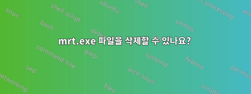 mrt.exe 파일을 삭제할 수 있나요?