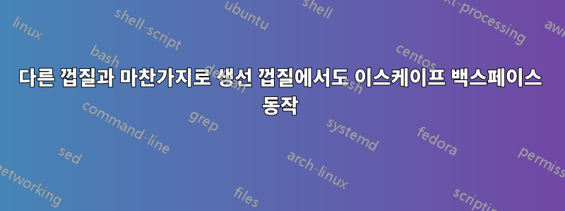 다른 껍질과 마찬가지로 생선 껍질에서도 이스케이프 백스페이스 동작