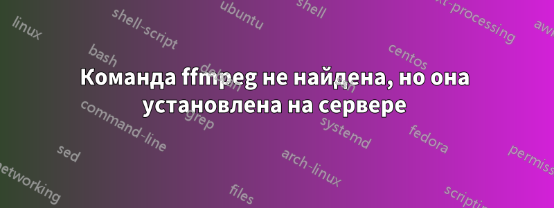 Команда ffmpeg не найдена, но она установлена ​​на сервере