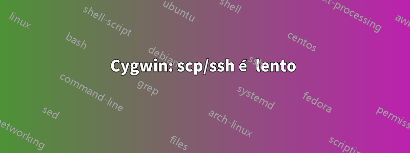 Cygwin: scp/ssh é lento