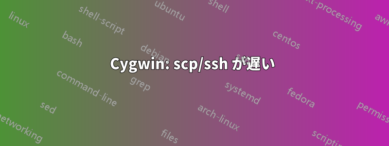 Cygwin: scp/ssh が遅い