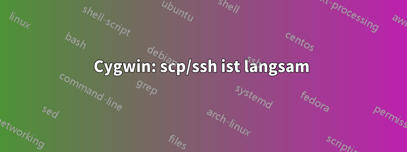 Cygwin: scp/ssh ist langsam