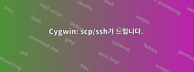 Cygwin: scp/ssh가 느립니다.