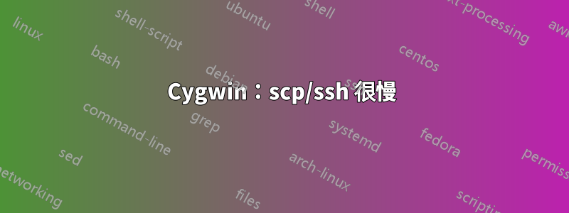 Cygwin：scp/ssh 很慢