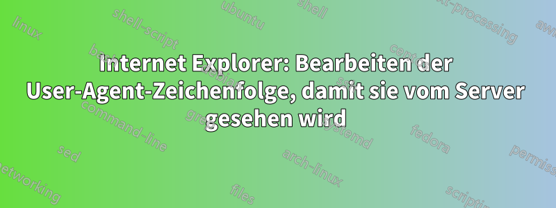 Internet Explorer: Bearbeiten der User-Agent-Zeichenfolge, damit sie vom Server gesehen wird