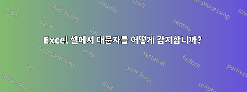 Excel 셀에서 대문자를 어떻게 감지합니까?