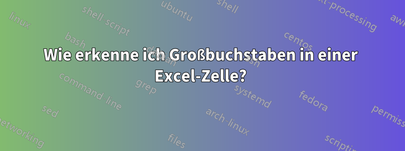 Wie erkenne ich Großbuchstaben in einer Excel-Zelle?
