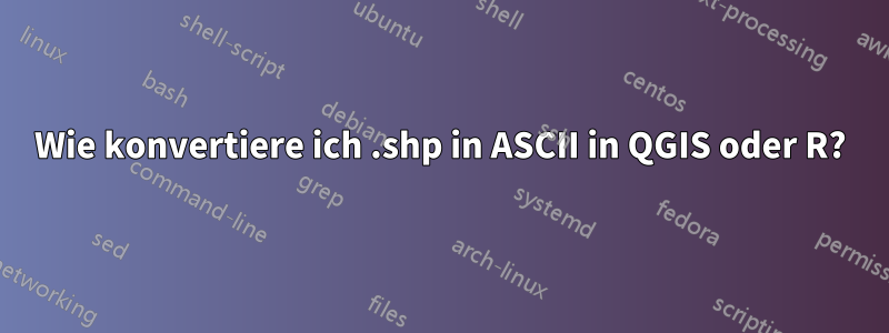 Wie konvertiere ich .shp in ASCII in QGIS oder R?
