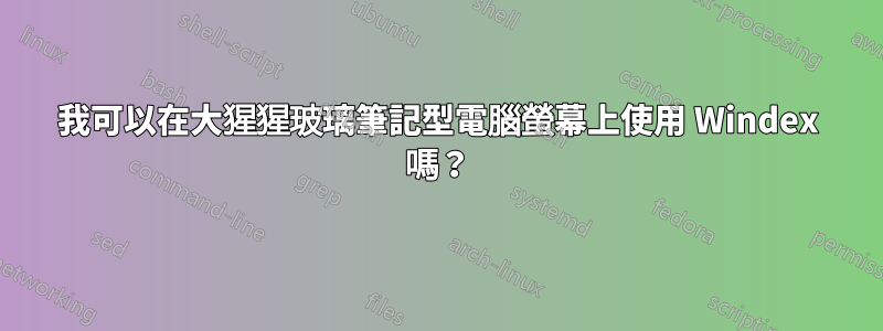我可以在大猩猩玻璃筆記型電腦螢幕上使用 Windex 嗎？