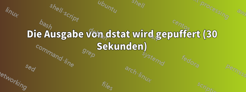 Die Ausgabe von dstat wird gepuffert (30 Sekunden)