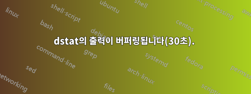 dstat의 출력이 버퍼링됩니다(30초).