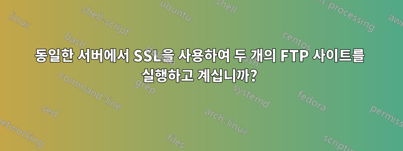 동일한 서버에서 SSL을 사용하여 두 개의 FTP 사이트를 실행하고 계십니까?