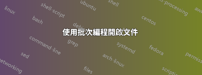 使用批次編程開啟文件