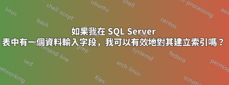 如果我在 SQL Server 表中有一個資料輸入字段，我可以有效地對其建立索引嗎？