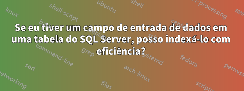 Se eu tiver um campo de entrada de dados em uma tabela do SQL Server, posso indexá-lo com eficiência?