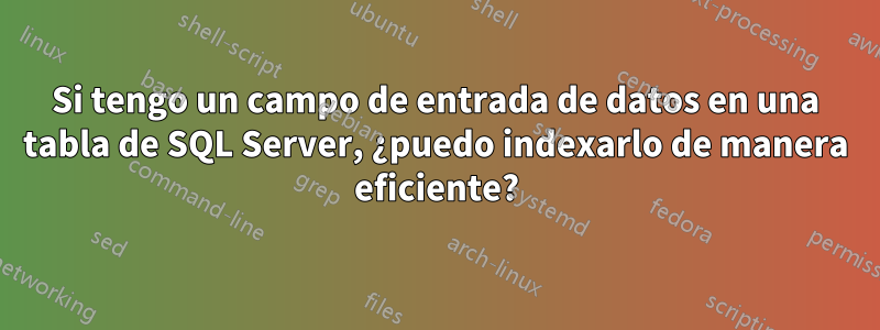 Si tengo un campo de entrada de datos en una tabla de SQL Server, ¿puedo indexarlo de manera eficiente?